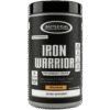 Iron Warrior