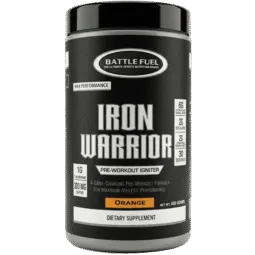 Iron Warrior