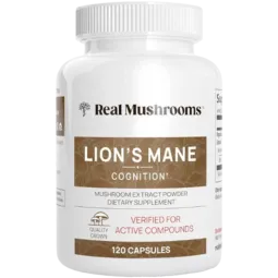 Lion's Mane